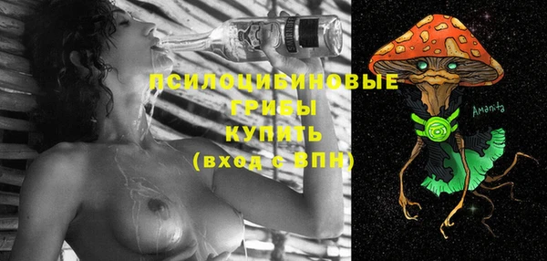 героин Алексин